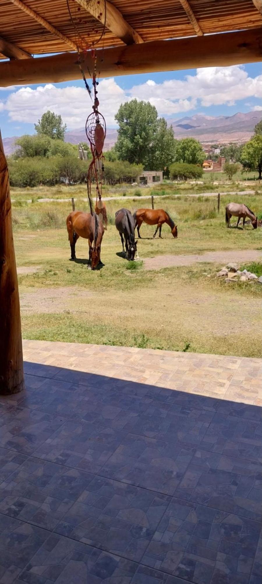 Cabanitas El Reposo Humahuaca Hotel Екстериор снимка